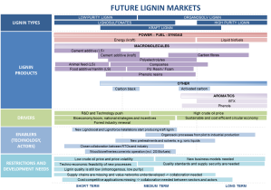 20150822 Lignin business future markets